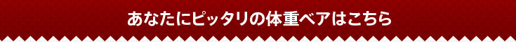 あなたにピッタリの体重ベアはこちら