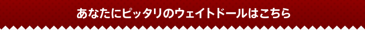 あなたにピッタリのウェイトドールはこちら