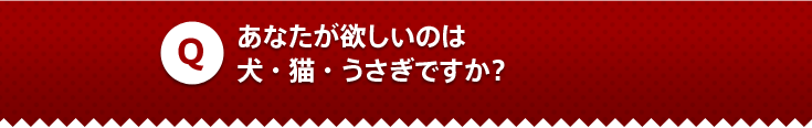 あなたが欲しいのは犬・猫・うさぎですか？