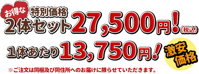 2体セットはお得な特別価格