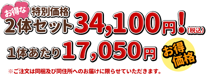 2体セットはお得な特別価格