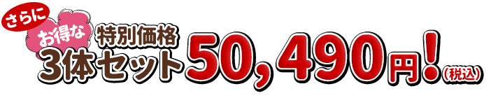 さらにお得な3体セットは37,290円！