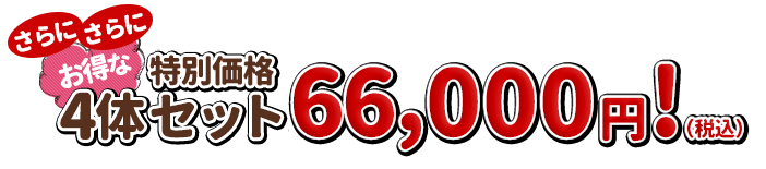 さらにさらにお得な4体セットは48,400円！