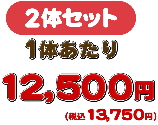 2体セットは1体あたり11,300円(税抜)