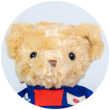 新しいベアのお顔