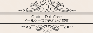 ドールケースできれいに保管