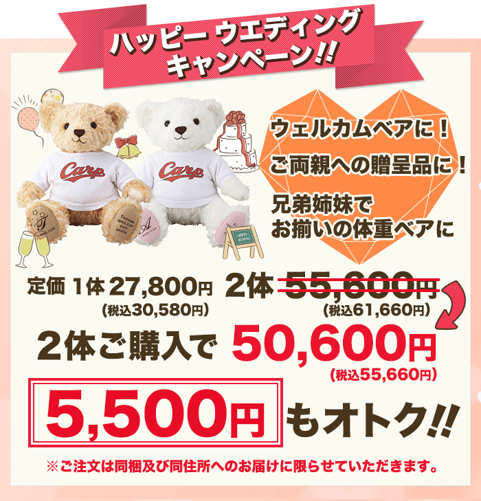 キャンペーン実施中!2体ご購入で5,500円もオトク♪