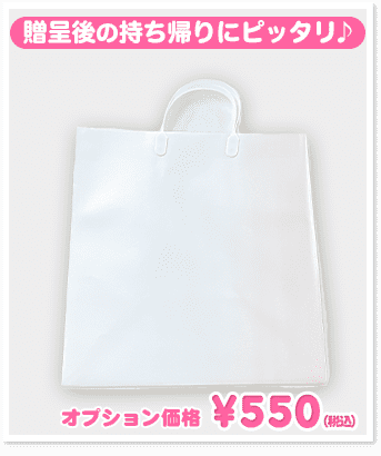 オプション価格540円