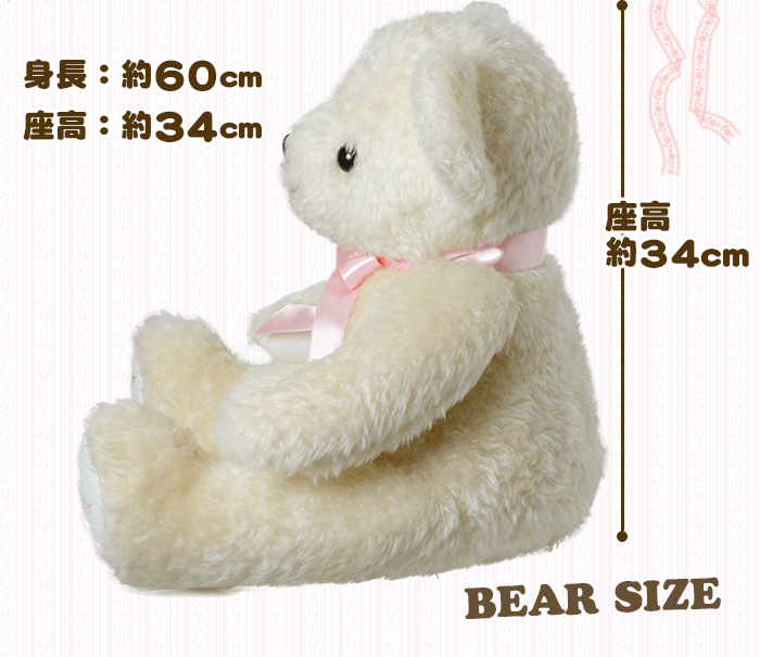  身長約60cm、座高約34cm