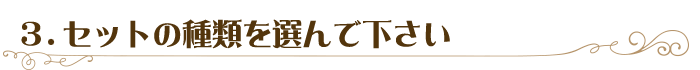 3．セットの種類を選んで下さい