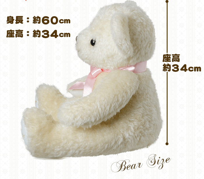 身長約60cm、座高約34cm