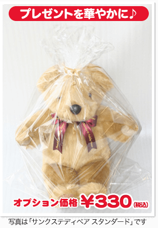 オプション価格300円