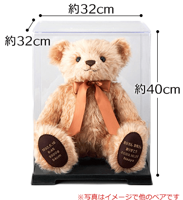 ケースイメージ