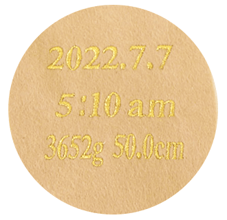 命名風刺繍レイアウトサンプル左足