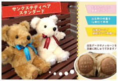 サンクステディベア：スタンダード