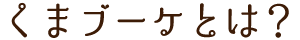 くまブーケとは