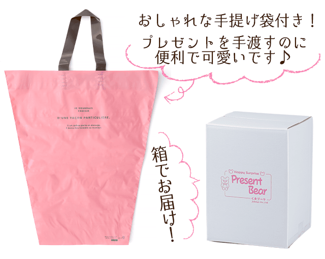 手提げ袋イメージ