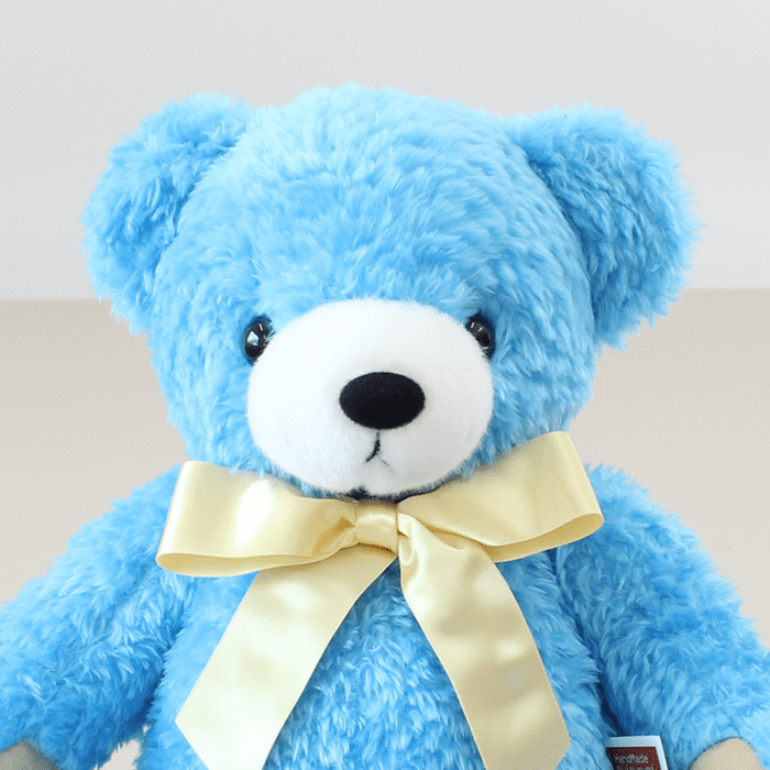 誰からも愛される、つぶらな瞳で上品な顔立ちです。