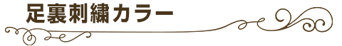 足裏刺繍カラー