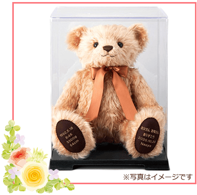 ケースイメージ