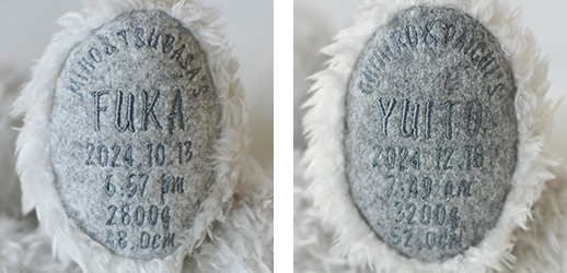 足裏刺繍イメージ