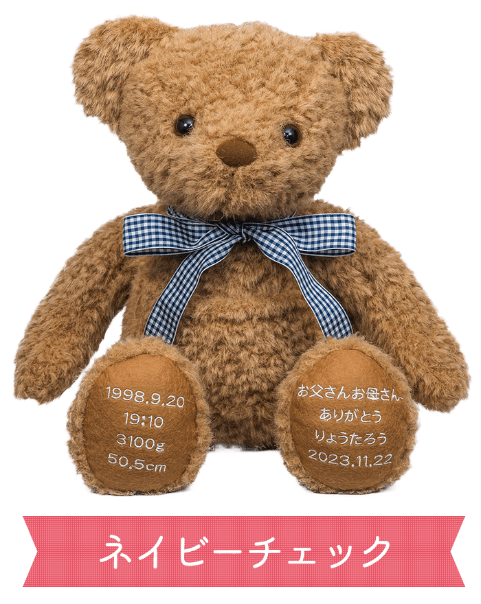 ネイビーチェック