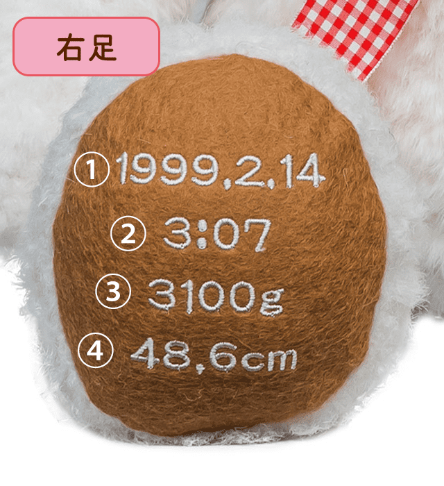 【右足】足裏刺繍イメージ