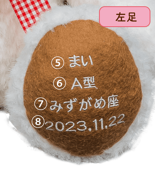 【左足】足裏刺繍イメージ