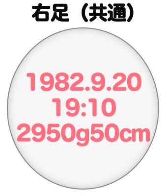 右足（共通）刺繍内容イメージ