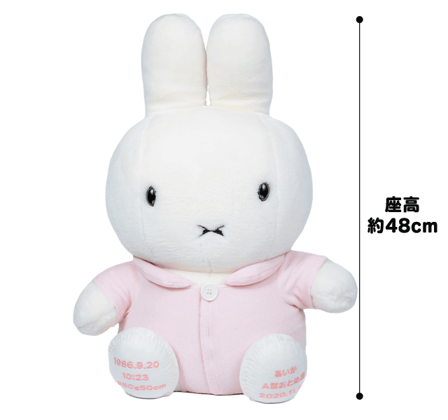 サイズ：座高 約48cm