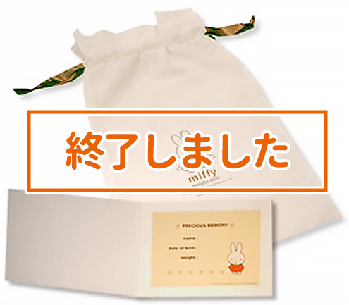 ミッフィーウェイトドールの特徴