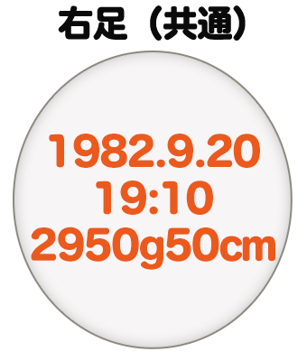 右足（共通）刺繍内容イメージ