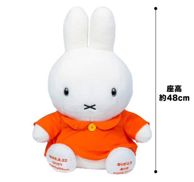 サイズ：座高 約48cm