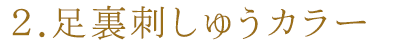 2.足裏刺しゅうカラー