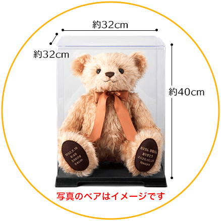 ドールケースイメージ