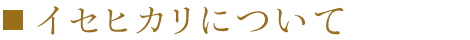 イセヒカリについて