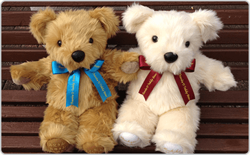 サンクステディベア スタンダード