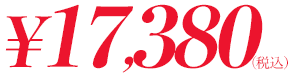 価格14300円(税込)