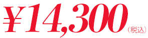 価格14300円(税込)