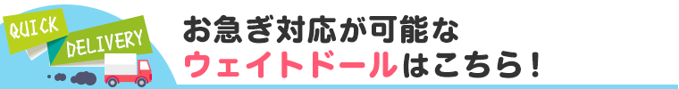 お急ぎ対応が可能なウェイトドールはこちら!