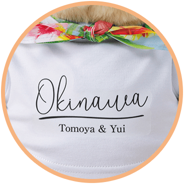 キャメリー 沖縄