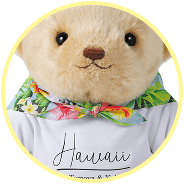 キャメリー ハワイアン