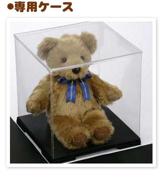 専用ケース