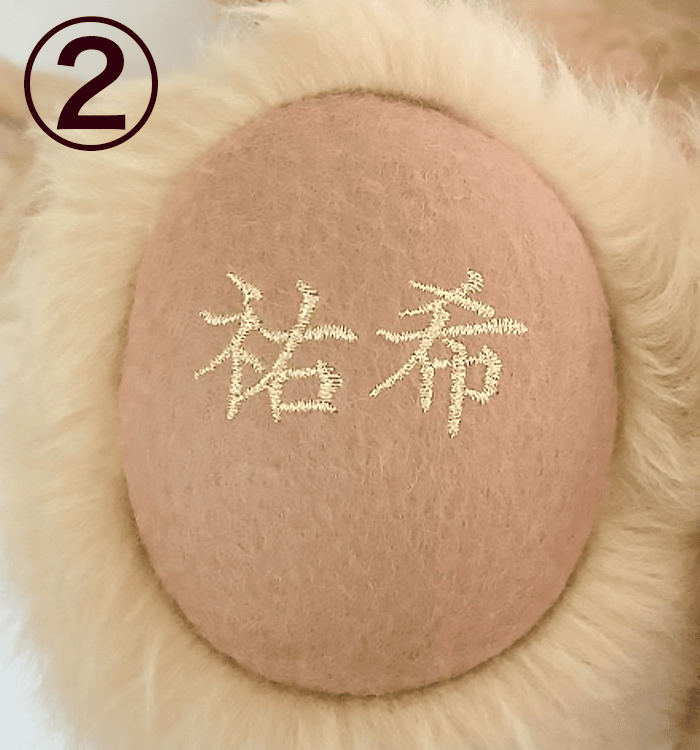 オリジナル命名風刺しゅうサンプル2