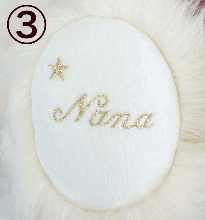 オリジナル命名風刺しゅうサンプル3