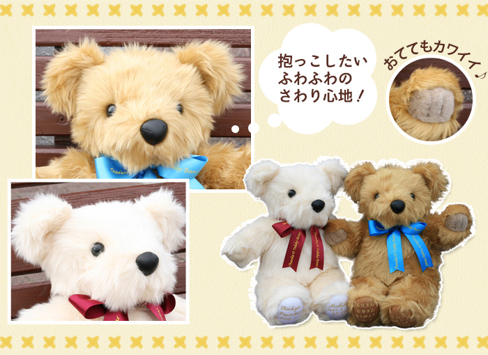 抱っこしたいふわふわのさわり心地！お手々もカワイイ♪