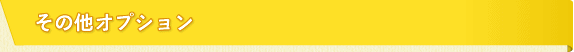その他オプション