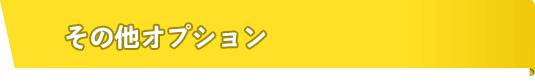 その他オプション