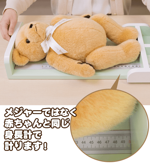TW（トール&amp;ウェイト）サンクステディベア：格安な身長体重ベア