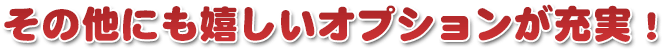 その他にも嬉しいオプションが充実！
